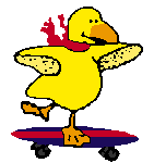 bird chicken skateboard animated gif