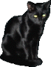 black cat sits and blinks animated gif