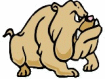 bulldog animated gif