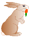 rabbit eating a carrot animated gif