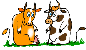 two cows hug each other animated gif