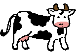 Animated Cow