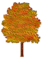 tree changes from green to red and back animated gif