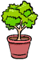 tree pot leaves change color animated gif